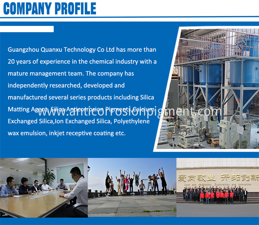 Company Profile